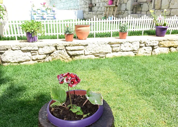 Kozanogluhan Boutique 2*