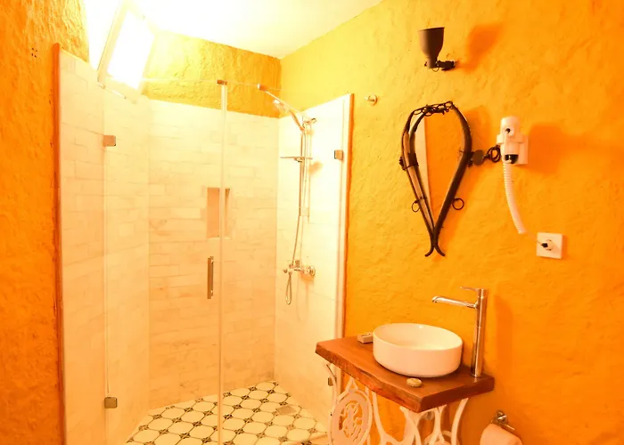 Kozanogluhan Boutique 2* 알라카티